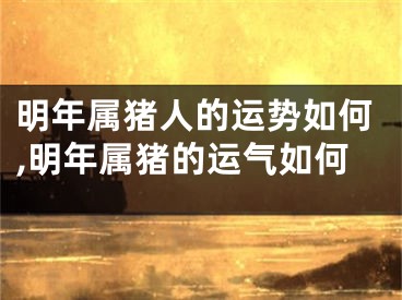 明年属猪人的运势如何,明年属猪的运气如何