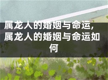 属龙人的婚姻与命运,属龙人的婚姻与命运如何
