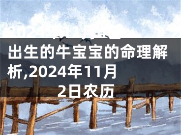 2024年11月4日出生的牛宝宝的命理解析,2024年11月2日农历