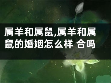 属羊和属鼠,属羊和属鼠的婚姻怎么样 合吗