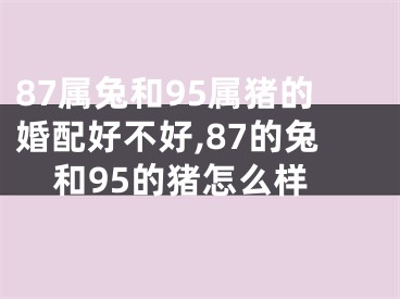 87属兔和95属猪的婚配好不好,87的兔和95的猪怎么样