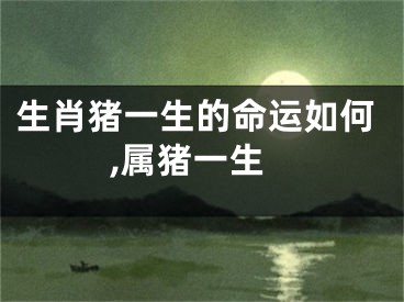 生肖猪一生的命运如何,属猪一生