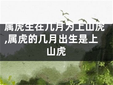 属虎生在几月为上山虎,属虎的几月出生是上山虎