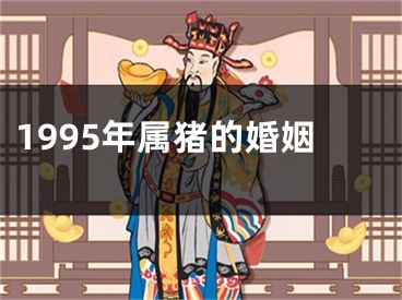 1995年属猪的婚姻