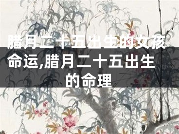 腊月二十五出生的女孩命运,腊月二十五出生的命理