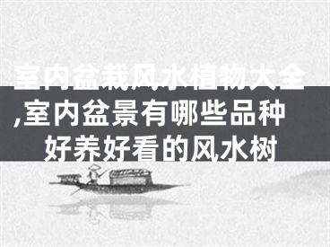 室内盆栽风水植物大全,室内盆景有哪些品种好养好看的风水树
