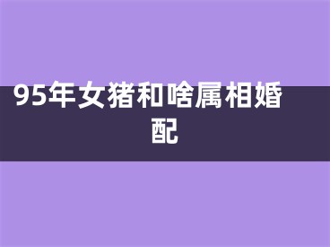 95年女猪和啥属相婚配