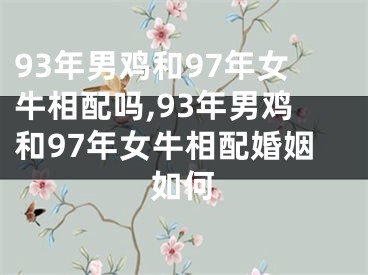 93年男鸡和97年女牛相配吗,93年男鸡和97年女牛相配婚姻如何