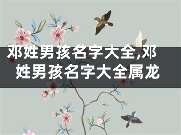 邓姓男孩名字大全,邓姓男孩名字大全属龙