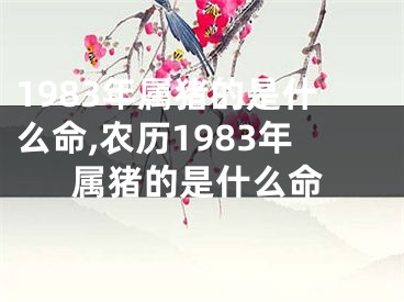 1983年属猪的是什么命,农历1983年属猪的是什么命
