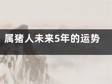 属猪人未来5年的运势