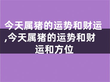 今天属猪的运势和财运,今天属猪的运势和财运和方位