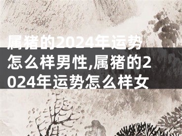 属猪的2024年运势怎么样男性,属猪的2024年运势怎么样女