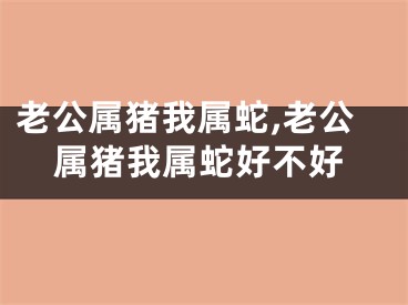 老公属猪我属蛇,老公属猪我属蛇好不好