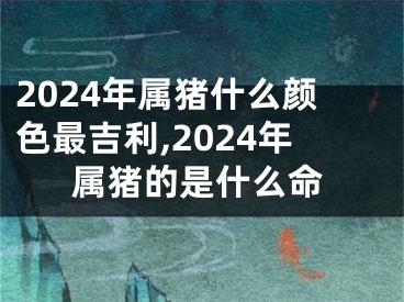 2024年属猪什么颜色最吉利,2024年属猪的是什么命