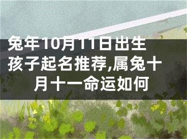 兔年10月11日出生孩子起名推荐,属兔十月十一命运如何