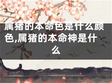属猪的本命色是什么颜色,属猪的本命神是什么