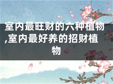 室内最旺财的六种植物,室内最好养的招财植物