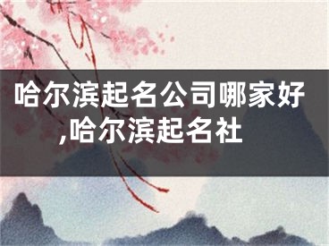 哈尔滨起名公司哪家好,哈尔滨起名社