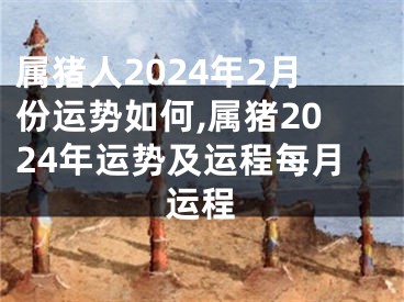 属猪人2024年2月份运势如何,属猪2024年运势及运程每月运程