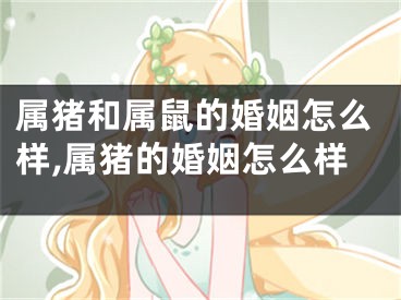 属猪和属鼠的婚姻怎么样,属猪的婚姻怎么样