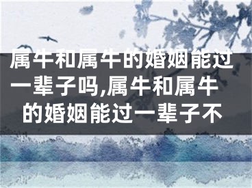 属牛和属牛的婚姻能过一辈子吗,属牛和属牛的婚姻能过一辈子不