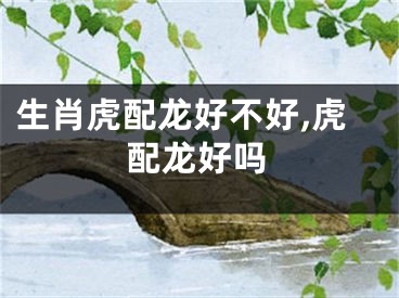生肖虎配龙好不好,虎配龙好吗