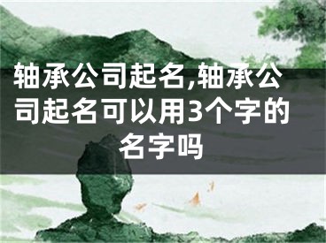 轴承公司起名,轴承公司起名可以用3个字的名字吗