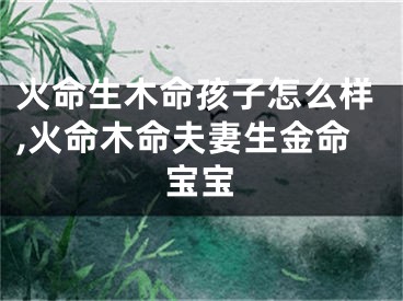 火命生木命孩子怎么样,火命木命夫妻生金命宝宝