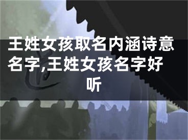 王姓女孩取名内涵诗意名字,王姓女孩名字好听