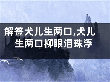 解签犬儿生两口,犬儿生两口柳眼泪珠浮