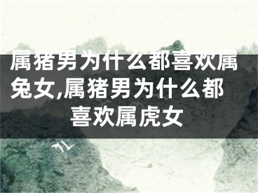 属猪男为什么都喜欢属兔女,属猪男为什么都喜欢属虎女