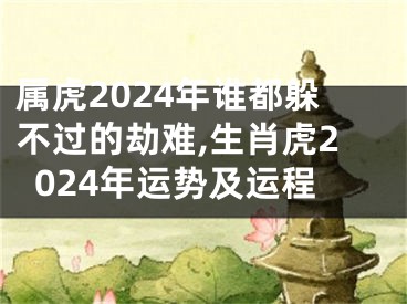 属虎2024年谁都躲不过的劫难,生肖虎2024年运势及运程