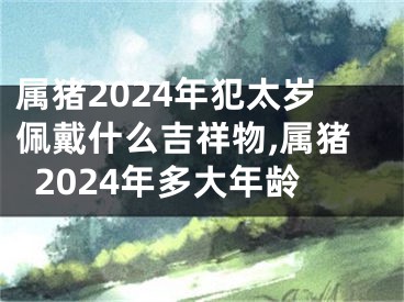 属猪2024年犯太岁佩戴什么吉祥物,属猪2024年多大年龄