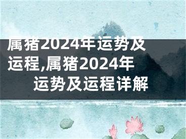 属猪2024年运势及运程,属猪2024年运势及运程详解