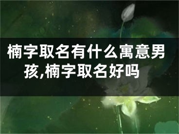 楠字取名有什么寓意男孩,楠字取名好吗