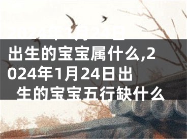 2024年1月24日出生的宝宝属什么,2024年1月24日出生的宝宝五行缺什么