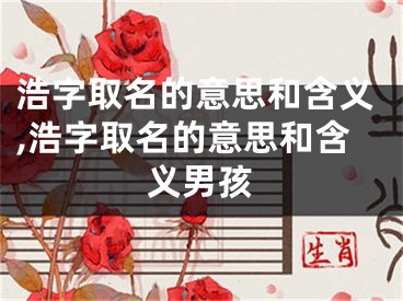 浩字取名的意思和含义,浩字取名的意思和含义男孩