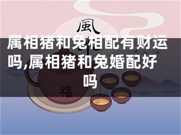 属相猪和兔相配有财运吗,属相猪和兔婚配好吗