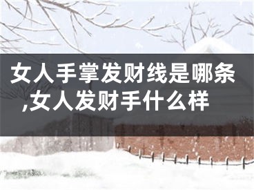 女人手掌发财线是哪条,女人发财手什么样