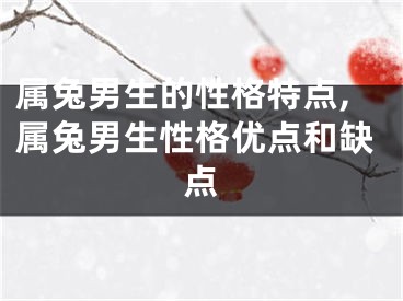属兔男生的性格特点,属兔男生性格优点和缺点