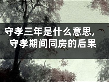 守孝三年是什么意思,守孝期间同房的后果