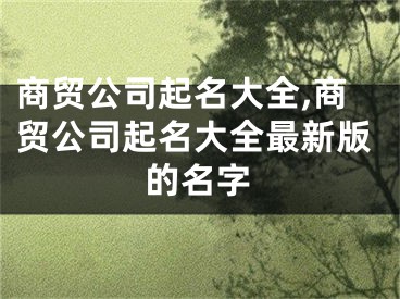 商贸公司起名大全,商贸公司起名大全最新版的名字