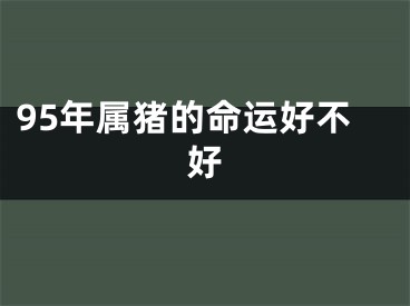 95年属猪的命运好不好