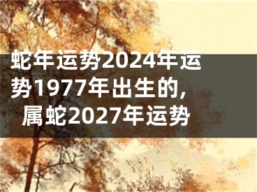 蛇年运势2024年运势1977年出生的,属蛇2027年运势
