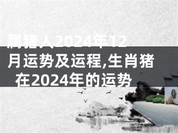 属猪人2024年12月运势及运程,生肖猪在2024年的运势