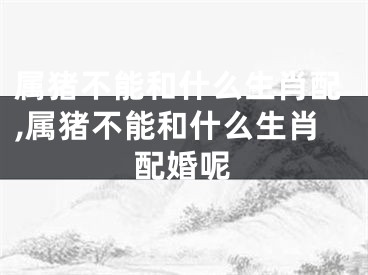 属猪不能和什么生肖配,属猪不能和什么生肖配婚呢