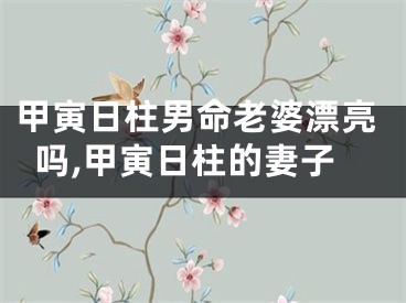 甲寅日柱男命老婆漂亮吗,甲寅日柱的妻子