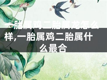 一胎属鸡二胎属龙怎么样,一胎属鸡二胎属什么最合