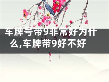 车牌号带9非常好为什么,车牌带9好不好